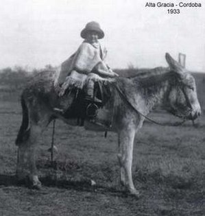 Che_G_-_Alta_Gracia_-_1933_-_Sobre_el_burro.jpg