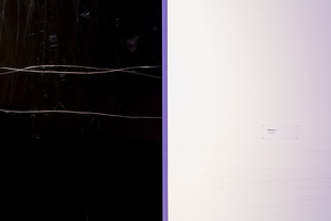 MoMAPS1_Anne_Imhof-37.jpg