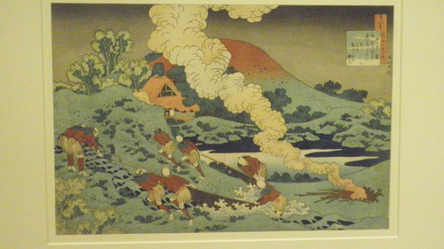 atsukophotos 079.JPG